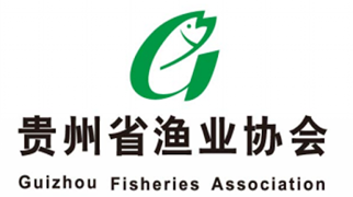HỘI NGHỀ CÁ QUÝ CHÂU